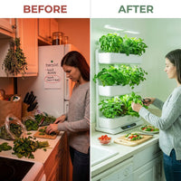 GreenAura LumaWall 3-Tier Herb Garden — Before & After