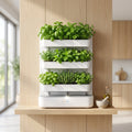 Hydroponic Herb Garden Designed for Indoor Growing, 3-Tier Wall Mount, Smart Reservoir, LED Lighting System