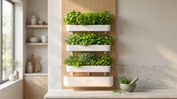 GreenAura LumaWall 3-Tier Herb Garden — Lifestyle